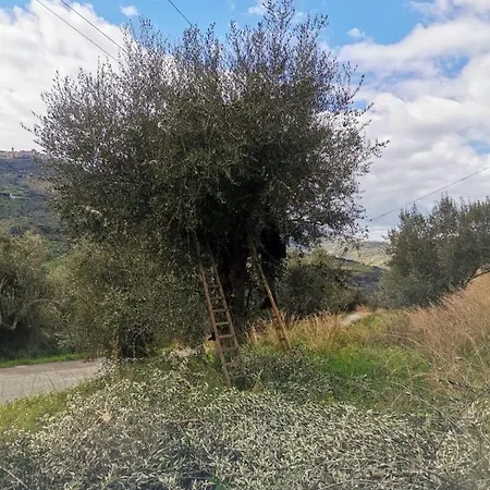A Casa Di Natalia Lantställe *